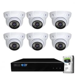 8-Channel 5MP NVR 2TB Security Camera System with 6 Wired IP Cameras Turret Fixed Lens, Built-In Mic, Human Detection by GW Security